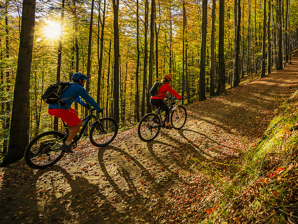 Radwanderungen durch die schöne Oberlausitz