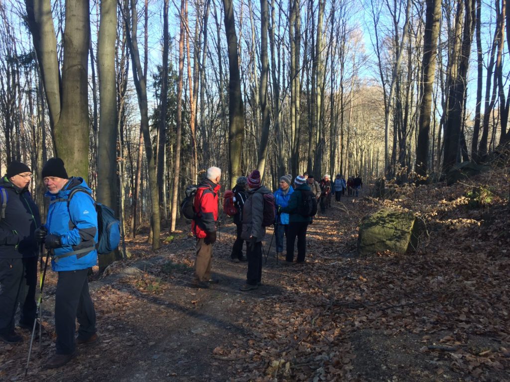 Wanderung im Gebiet von Kloster-und Oberhofberg