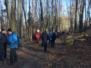 Read more about the article Wanderung im Gebiet von Kloster-und Oberhofberg