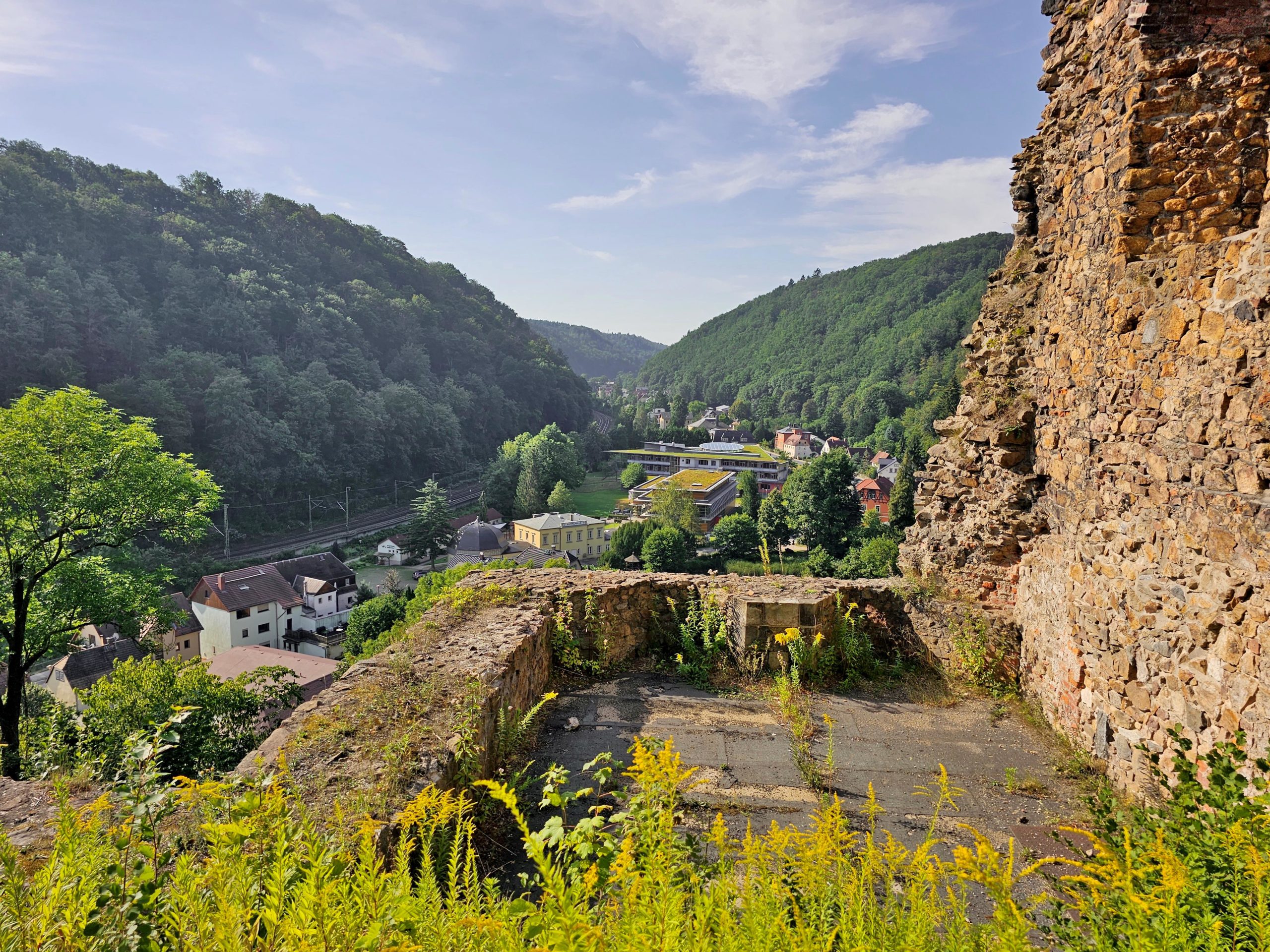 Read more about the article Wanderung durch den Tharandter Wald